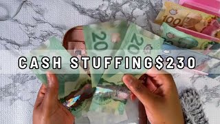 SAVINGS CHALLENGE | CASH STUFFING $230 SINKING FUNDS CASH ENEVLOPES METHOD 