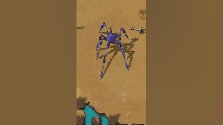 Australian wildlife be like