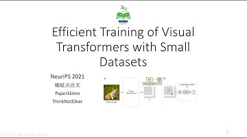 【点论文】227 Efficient Training of Visual Transformers with Small Datasets