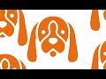 Estudio de tenencia de perros con dueño en Costa Rica 2016