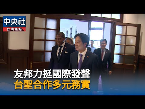 友邦力挺國際發聲  台聖合作多元務實