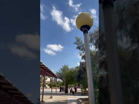 الجامعة الهاشمية