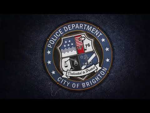 Police Simulator Dlc Car