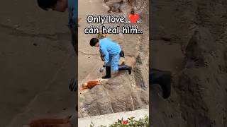 Baby Monkey Punch Was Attacked Again But Loving Arms Quickly Answered Terrified Screams Of Lil Baby