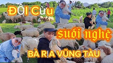 Tham Quan Đồi Cừu Suối Nghệ, Huyện Châu Đức Tỉnh BÀ RỊA VŨNG TÀU