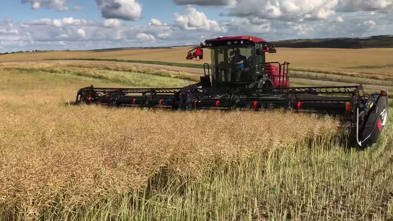 2018 MacDon M1170 Windrower & 2018 MacDon D135XL Draper Header