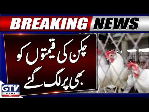 Breaking: Chicken Price Skyrocket | Inflation Crisis | New Chicken Rates Updates | GTV News