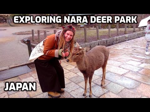Adventure In NARA JAPAN VLOG Venture 5 