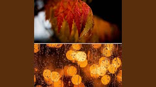Simple Ambiance for Decompressing Moods
