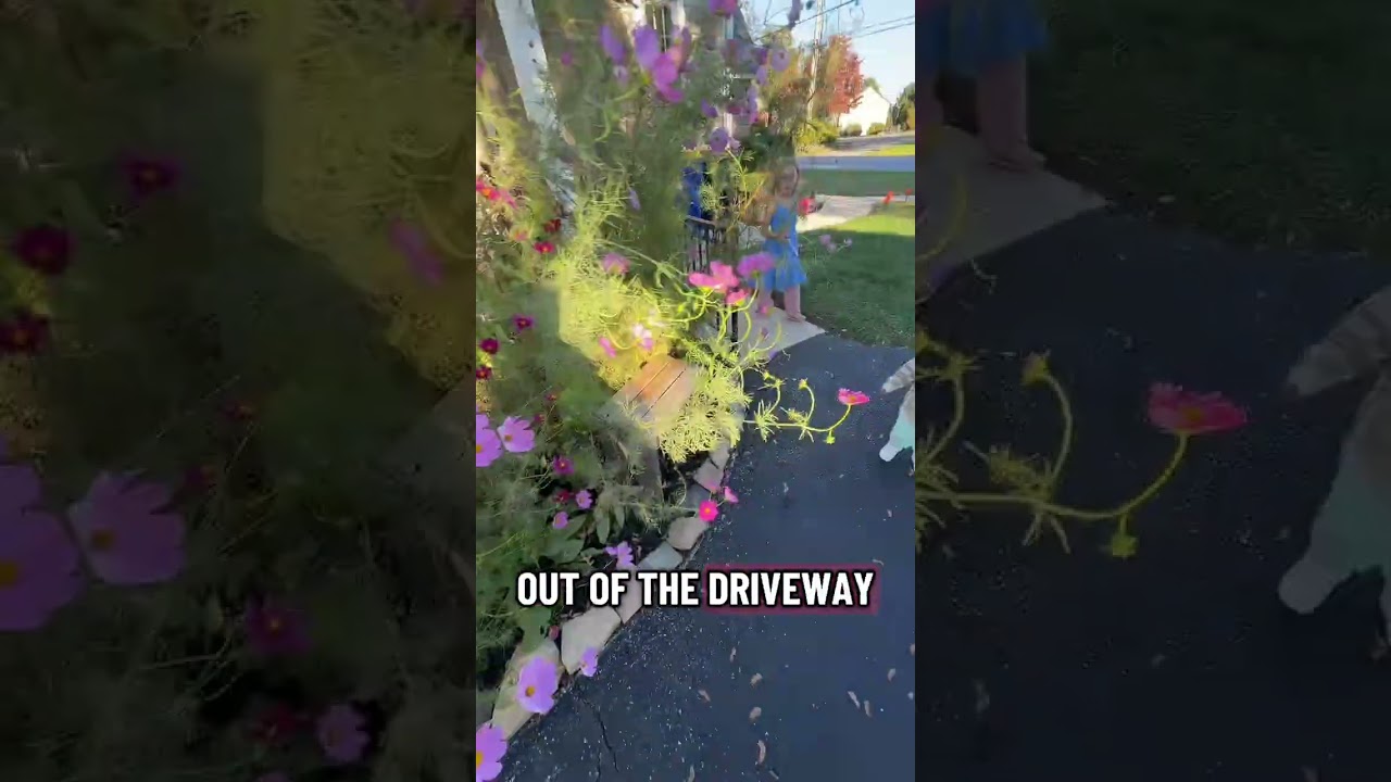 Pt 2 of my cosmo flower problem! 