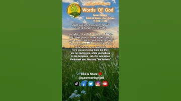 Quran Kareem Surah Al Imran سورة آل عمران V: [118 - 119] With Urdu And English Translation #quran