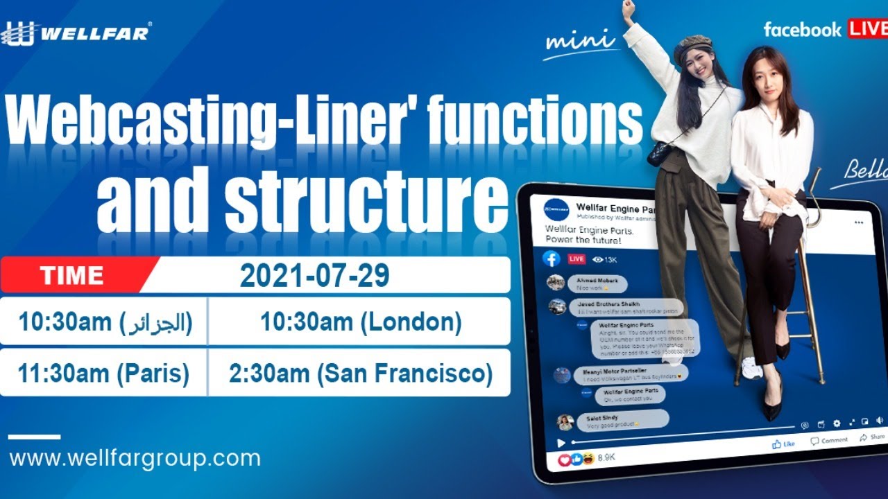 Cylinder liners' structure and function