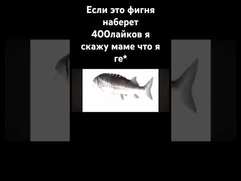 писка бобрихи жирной