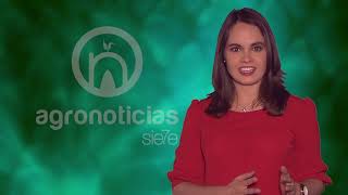 TITULARES AGRONOTICIAS sie7e PROGRAMA 197
