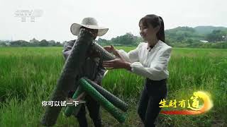 《生财有道》 20231002 美味假期“俏”财富——山海湖间的美味故事| 财经风云
