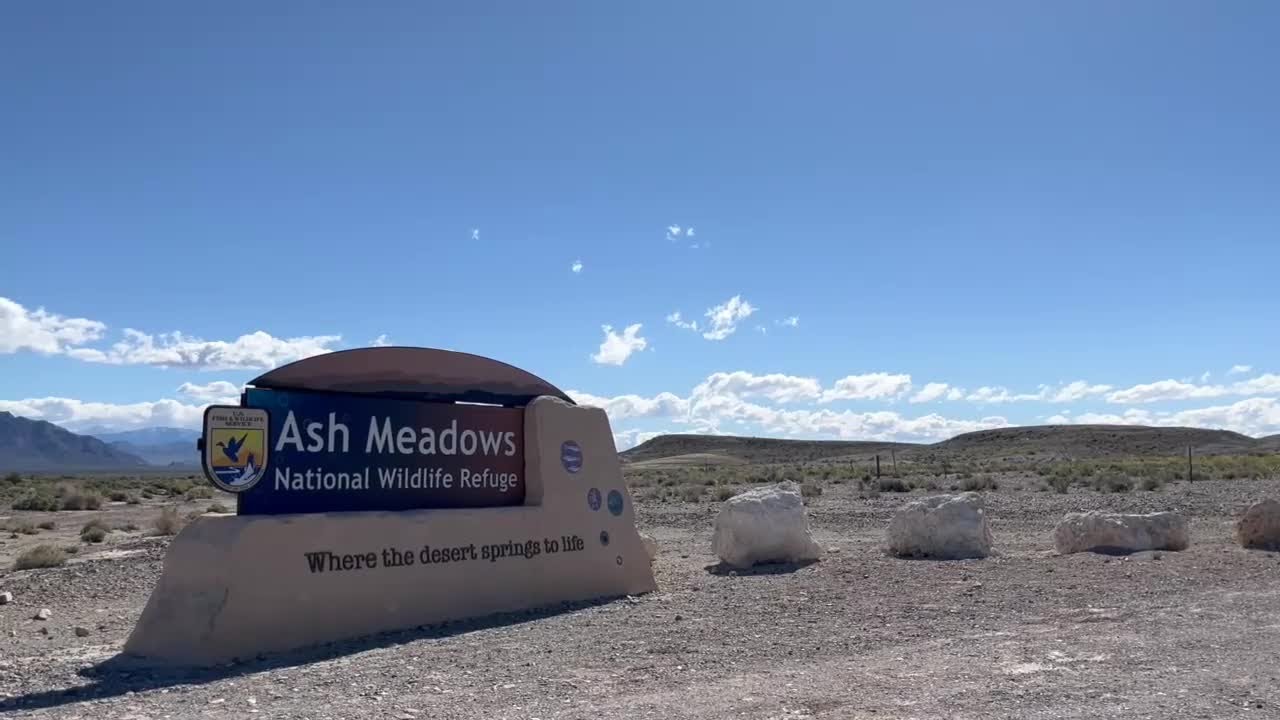 A proposed mining site for lithium could put multiple sensitive species in danger.