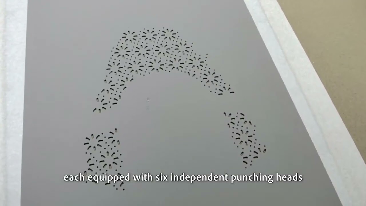 High speed leather punching machine, CNC digital punching, 3000pcs holes per min