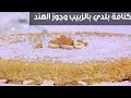 كنافة بلدي بالزبيب وجوز الهند نجلاء الشرشابي 