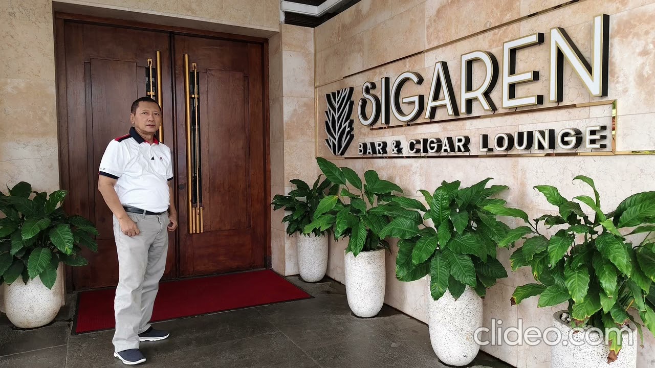 I'm Sorry - Lena Morgan