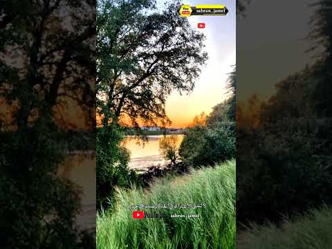 غروب الشمس وانعكاس الغروب على النهر واصوات العصافير  