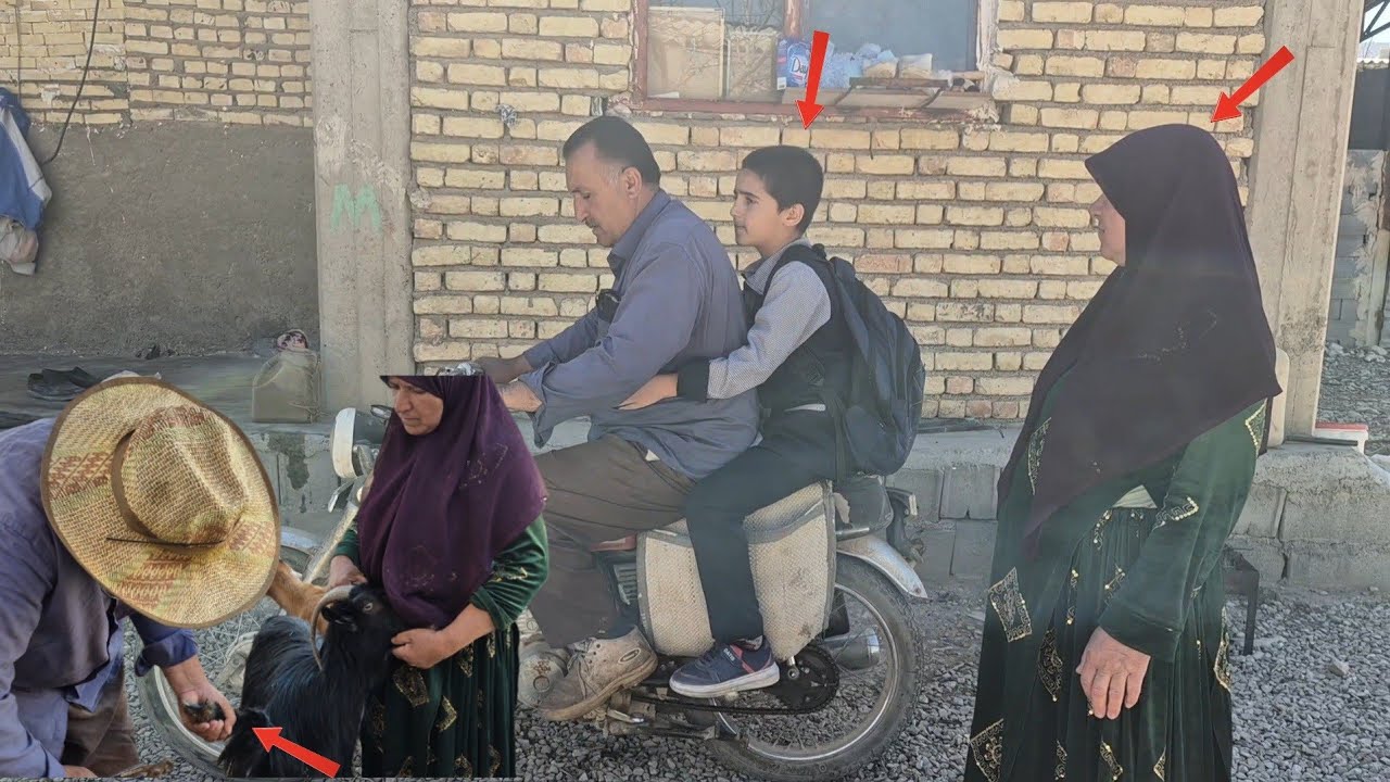 Taking my grandson: A journey into the world of science and nature at school.