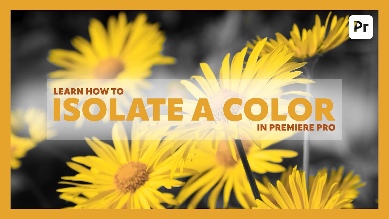 Learn how to ISOLATE A SINGLE COLOR in Premiere Pro