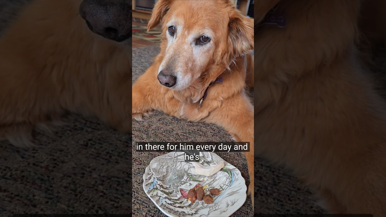 Вот я, вспоминаю Титана мистера Пиллса 