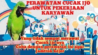 PERAWATAN CUCAK IJO UNTUK PEKERJA KARYAWAN YANG TIDAK SEMPAT MERAWAT KARENA WAKTU YANG SIBUK
