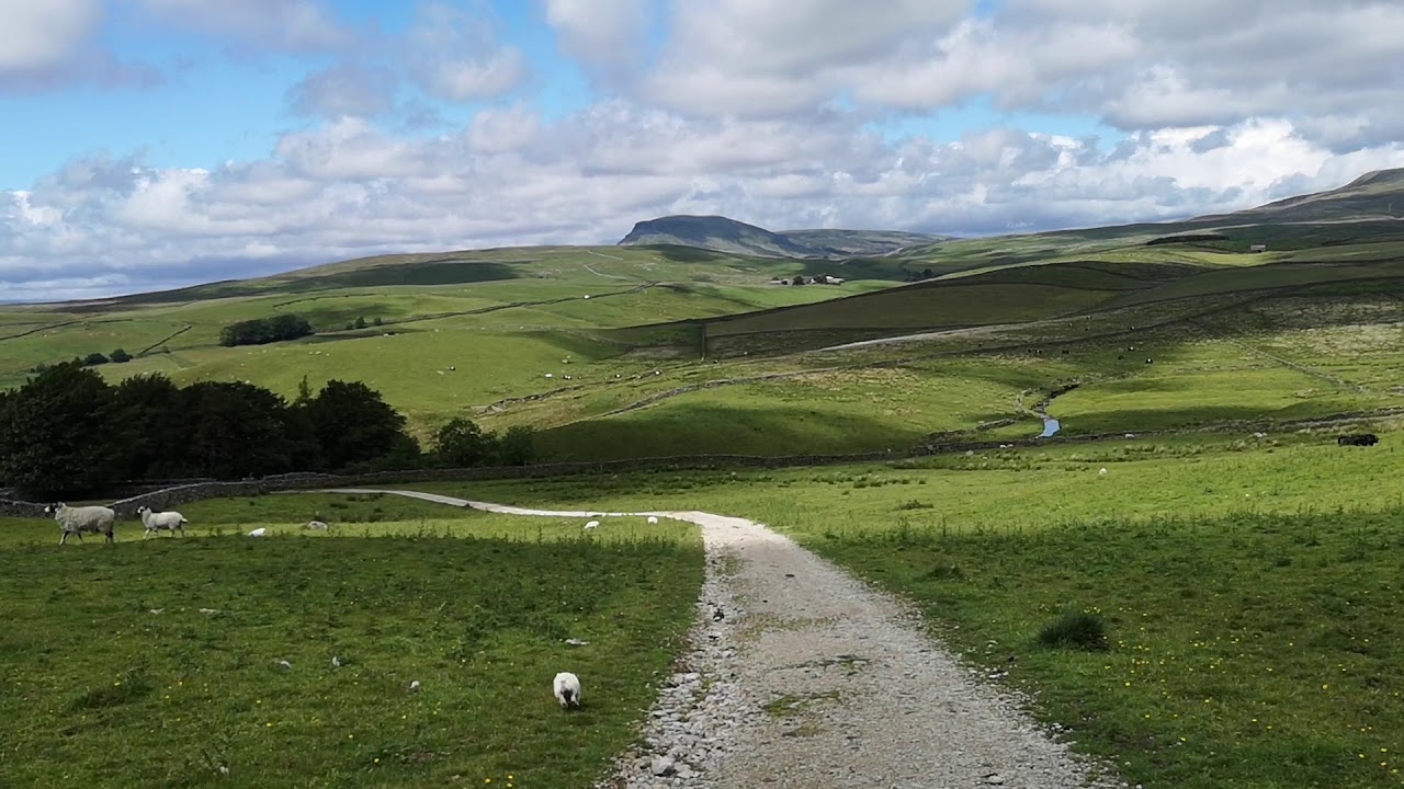 Yorkshire dales near catrigg force