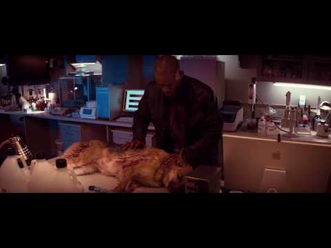 Кадр из фильма «Я — легенда»