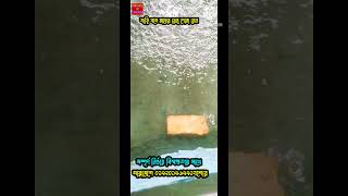 রেনু# মাছ#duet # Shorts# shortsvideio# shortsviral# new # tending# waz# funny# love#