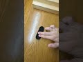 FINGERBOARD TRICKS