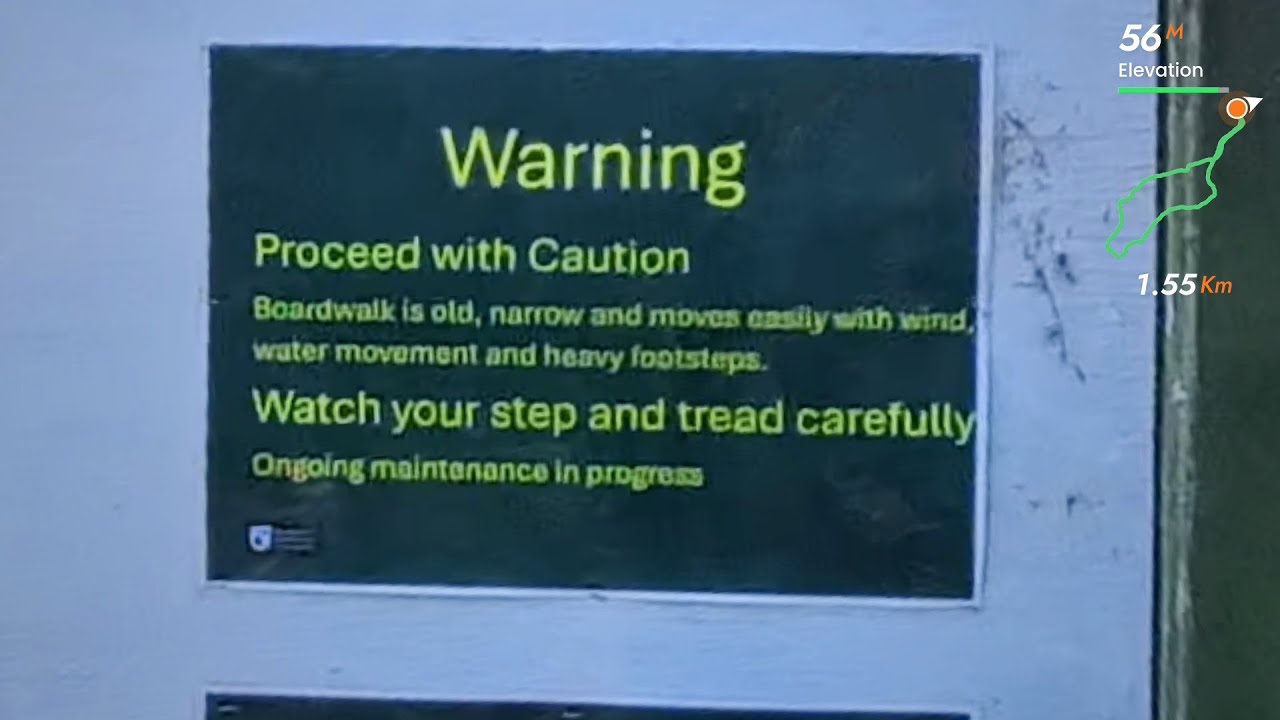 Warning proceed with caution - Carter Scenic Reserve, Gladstone, New Zealand - virtual dog walk.