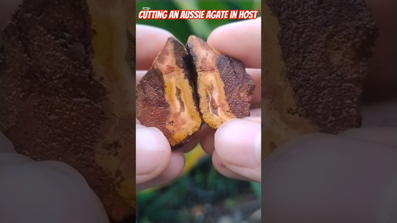 Cutting an Aussie Agate Stuck in Host 