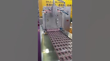 Nice Multivac machine for small items