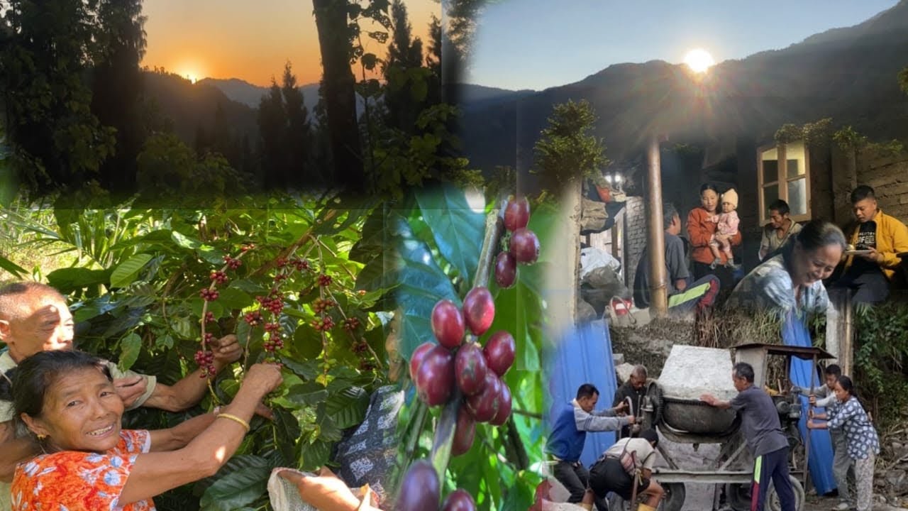  Dhatara khana hoina vancha? Mol bokna kam ama apa ko income source @Oyevillagelife 