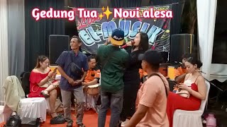 orgen dangdut hajatan kampung'gedung tua'novi alesa-Di populerkan Elvy Sukaesih