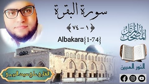 المصحف المرتل | سورة البقرة (١-٧٤) القارئ علي سيد البرجي  Al-Baqarah 4