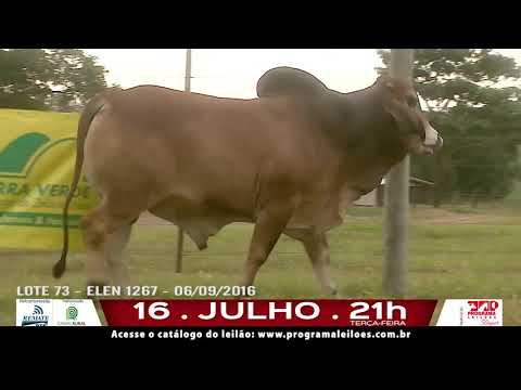 LOTE 073