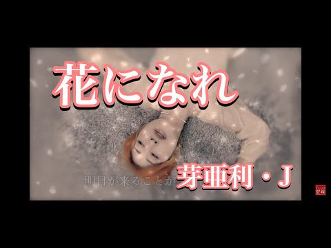 「花になれ」芽亜利・J～咲いて咲いて咲いて咲き誇れ　いつか散りゆくその時まで～