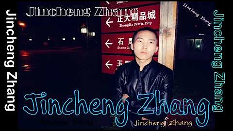 Jincheng Zhang - Perspective (Instrumental Version) (Background) (Official Audio)