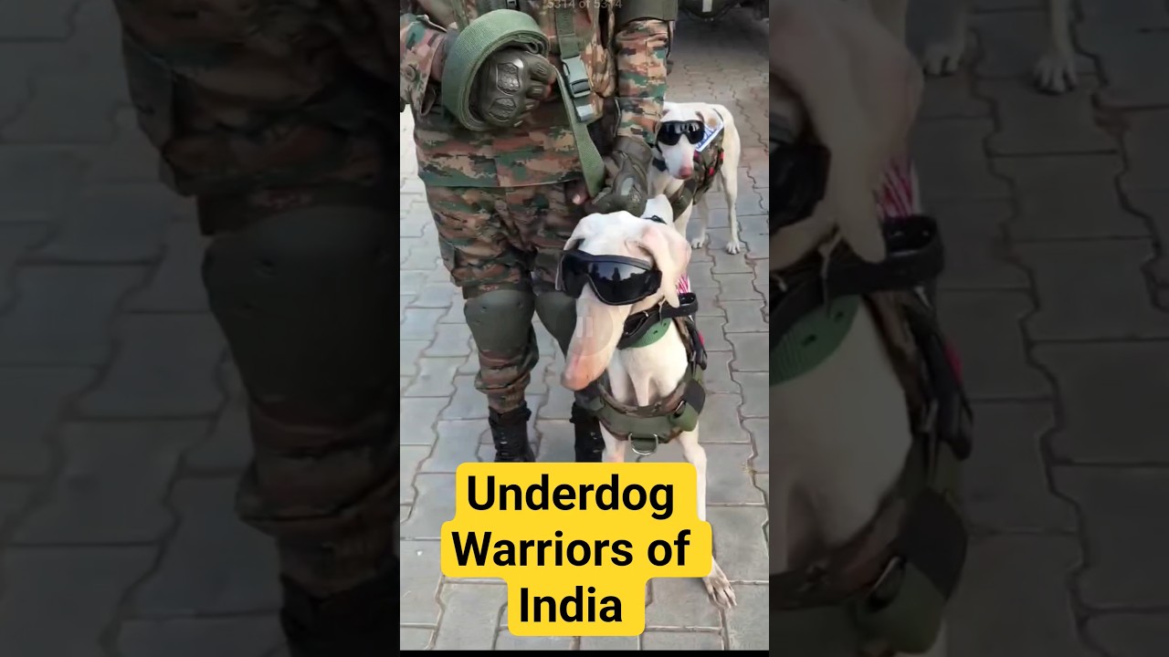 Real Warriros | Republic Day | 