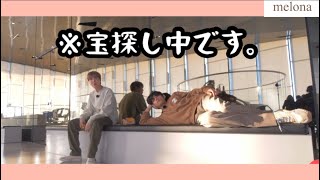 【BTS 日本語字幕】宝探し✨まさかのご褒美にメンバー驚愕😳😳😳