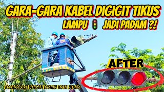 Download Lagu ADA-ADA AJA TIKUS GIGIT KABEL, LAMPU MERAH 🚦 SIMPANG RS BELLA BEKASI PADAM?! MP3 Download Lagu ADA-ADA AJA TIKUS GIGIT KABEL, LAMPU MERAH 🚦 SIMPANG RS BELLA BEKASI PADAM?! MP3