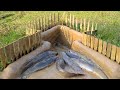 New Unique Easy Fish Trap System | Amazing Easy Fish Trap in River