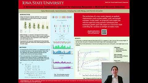Moeinizade A Simulation based Optimization Approach for Improving Response in Multi trait Genomic Se