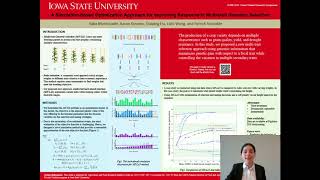 Moeinizade A Simulation based Optimization Approach for Improving Response in Multi trait Genomic Se