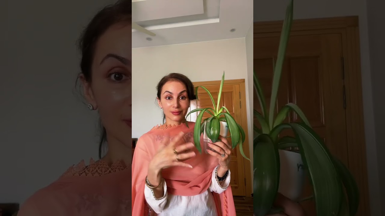 Put a Seed in Your Mouth Before Planting? Here’s the Ancient DNA Hack 