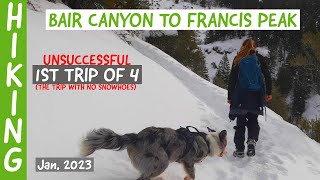 Hiking Bair Canyon (Feb 2023). Unsuccessful attempt 1 of 4. (No Snowshoes!)