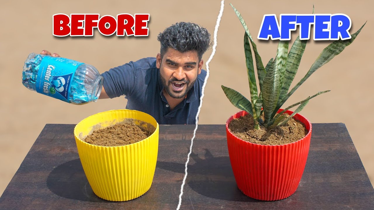 Center Fresh After 6 Months - चिंगम का क्या हुआ 6 महीने बाद - YouTube